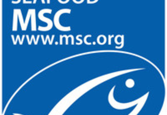 msc logo