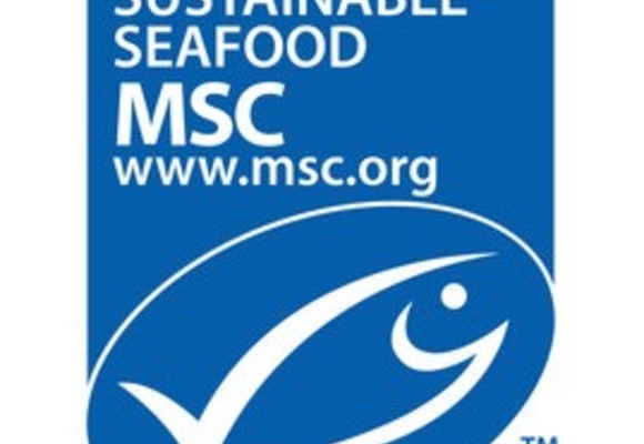 msc logo