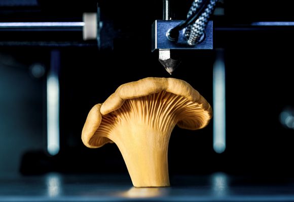 image of a mushroom in a 3d printer